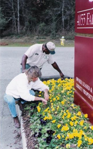 Custom and professional commercial landscaping services